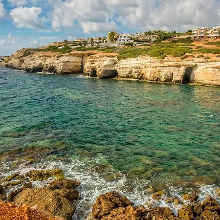 Banana Grove By * Пейя