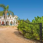 Banana Grove By