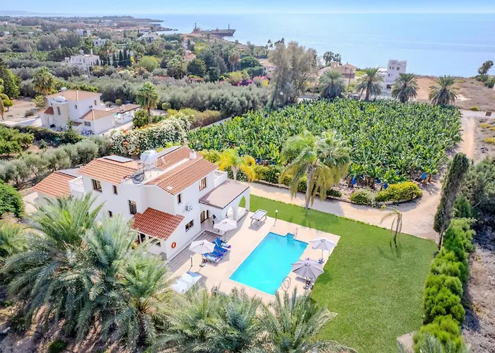 Banana Grove By ヴィラ *