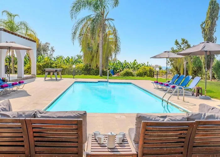 Banana Grove By Vila *